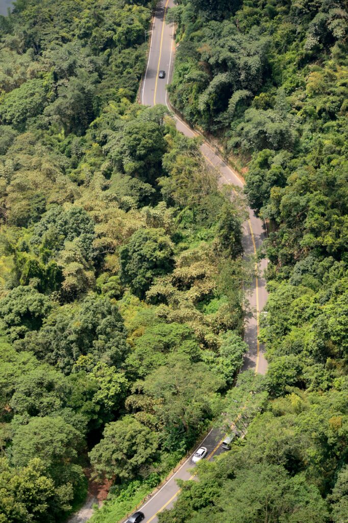 A lush green forest road through the Chorla Ghats on the Goa-Karnataka border, offering a cool tropical escape from the 2026 heat.
